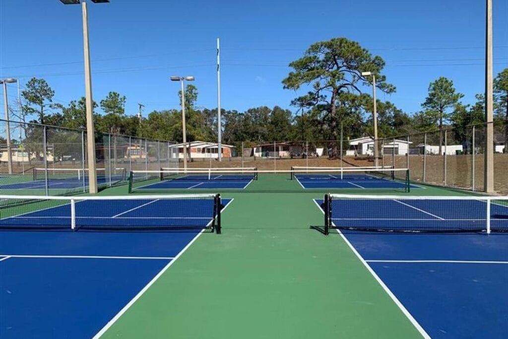 Rowlett Park Tampa Pickleball Courts near me, pickleball Tampa, pickleball near me