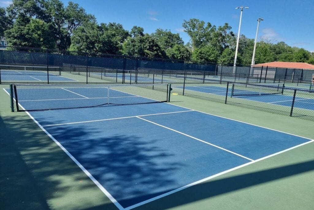 North Lakes Tampa Pickleball Courts near me, pickleball Tampa, pickleball near me