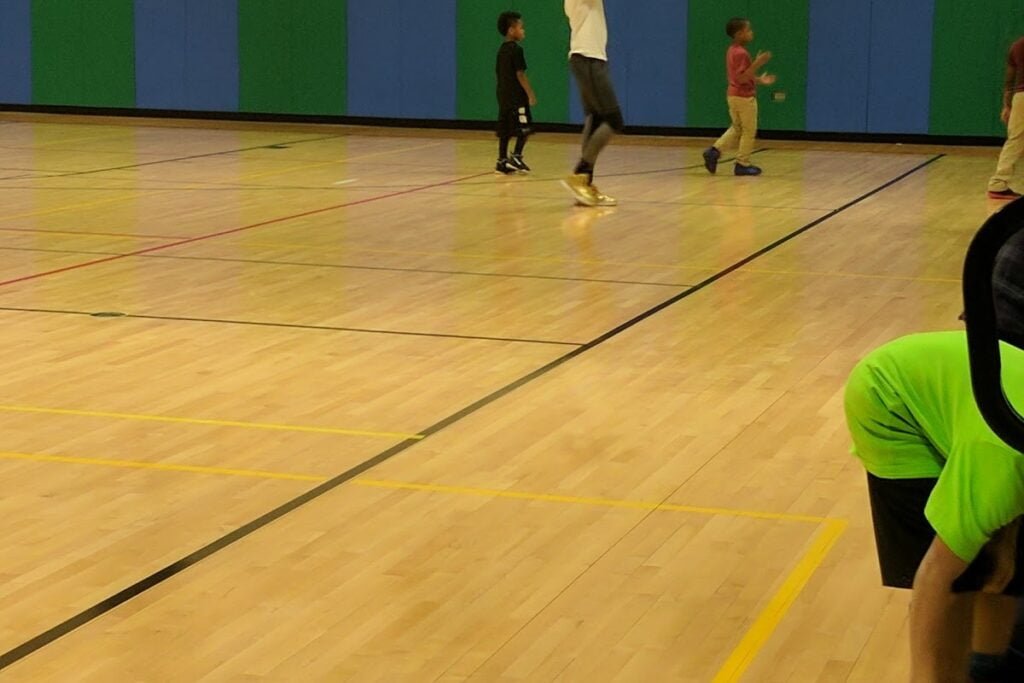 Douglas Monument Park Chicago Pickleball Courts near me, pickleball Chicago, pickleball near me