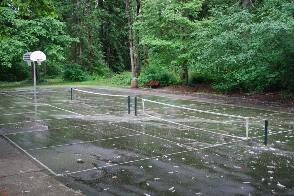 Meadow Park Pickleball Courts Redmond Pickleball Courts near me, pickleball Redmond, pickleball near me