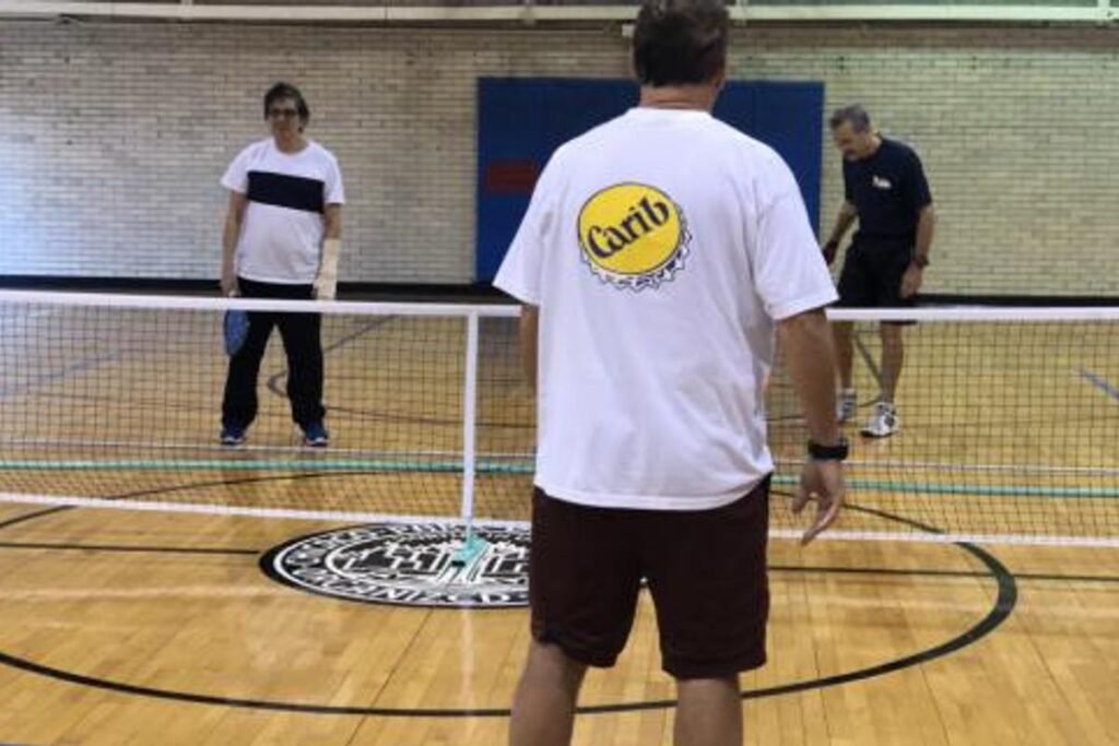 Avondale Park District Chicago Pickleball Courts near me, pickleball Chicago, pickleball near me