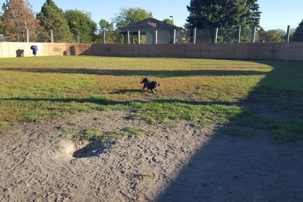 Manor Park Aberdeen Pickleball Courts near me, pickleball Aberdeen, pickleball near me