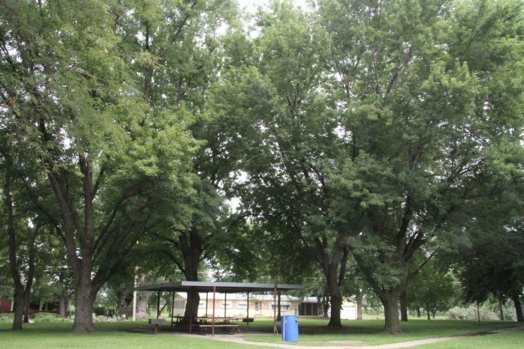 Willard Park Hebron Pickleball Courts near me, pickleball Hebron, pickleball near me