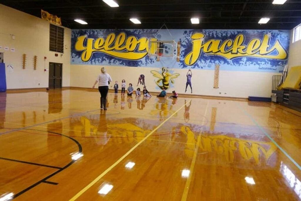 Edneyville Elementary Hendersonville Pickleball Courts near me, pickleball Hendersonville, pickleball near me