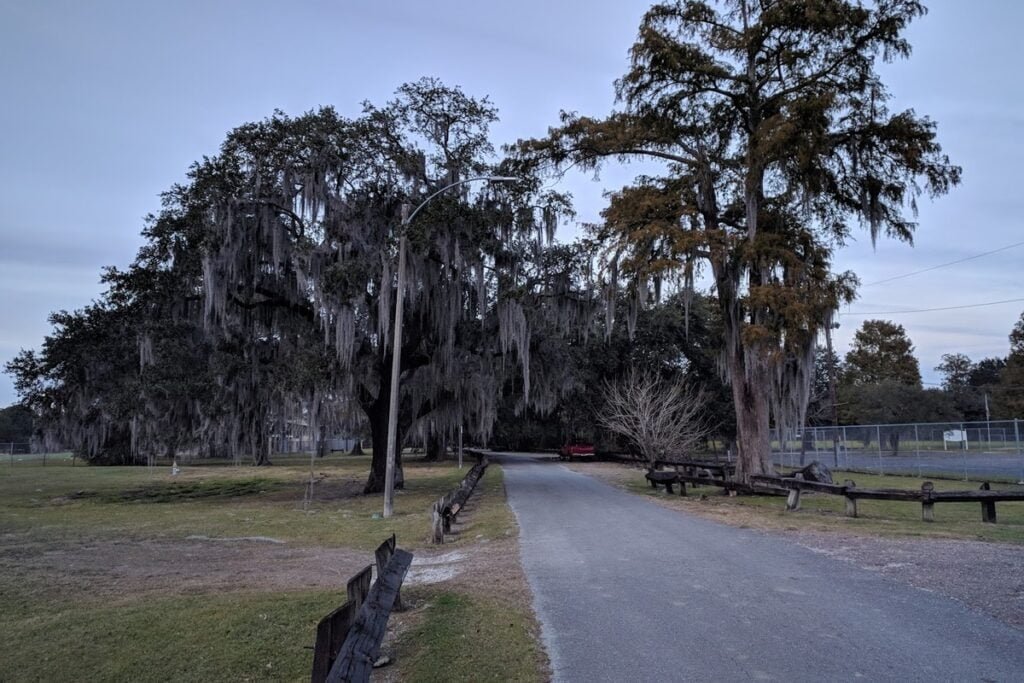 Morris FX Jeff Sr. Park New Orleans Pickleball Courts near me, pickleball New Orleans, pickleball near me