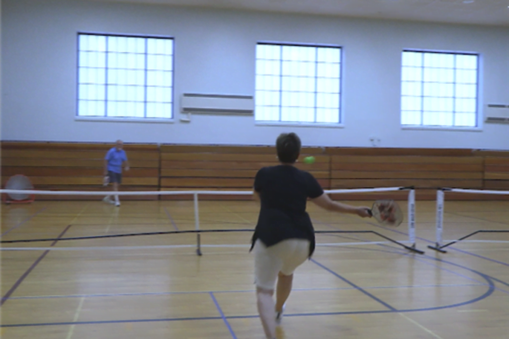 Sandburg Edu Ctr Anoka Pickleball Courts near me, pickleball Anoka, pickleball near me