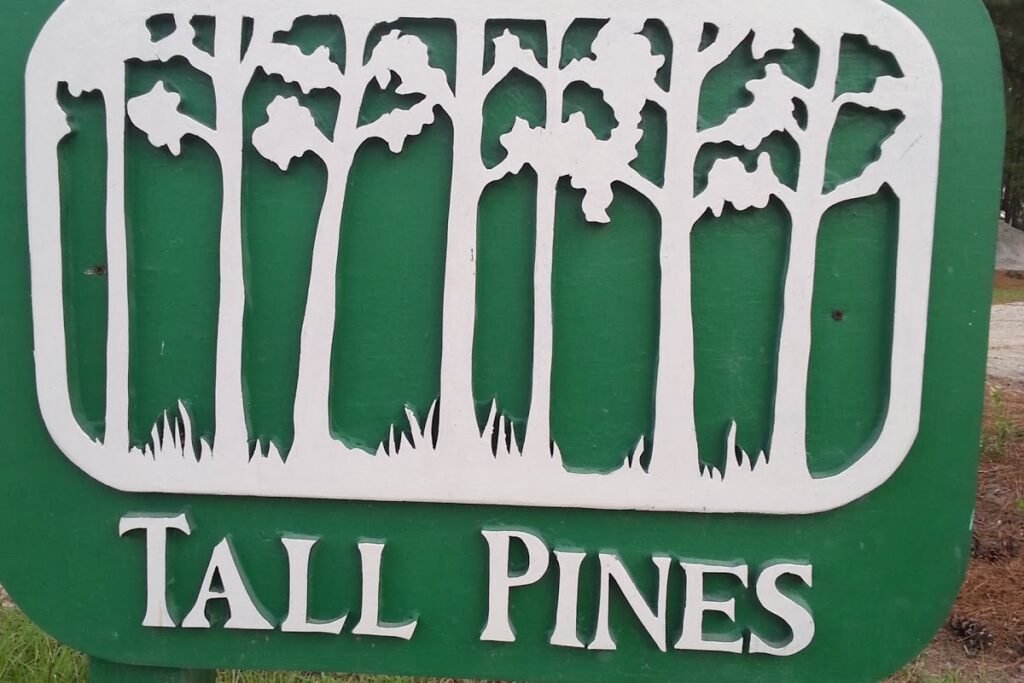 Tall Pine STEM Academy Aiken Pickleball Courts near me, pickleball Aiken, pickleball near me