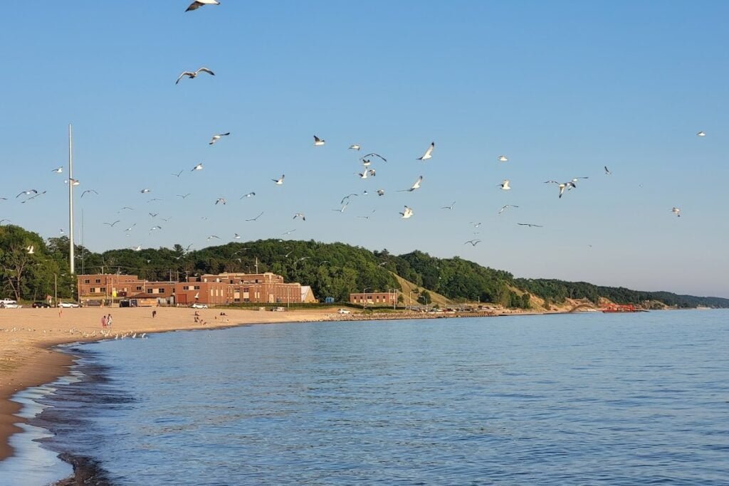 Beachwood Park Muskegon Pickleball Courts near me, pickleball Muskegon, pickleball near me
