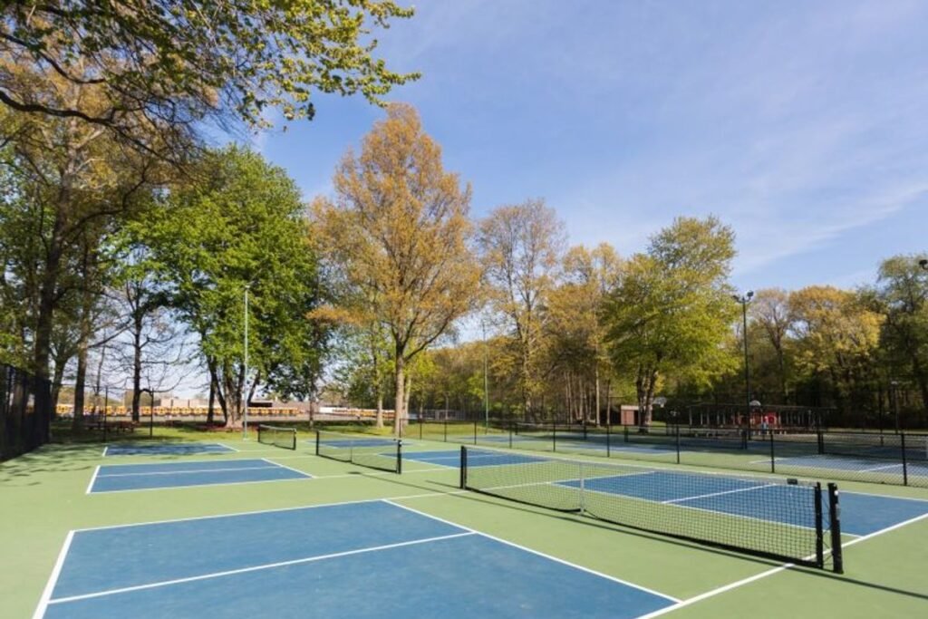 Beechwood Park Holland Pickleball Courts near me, pickleball Holland, pickleball near me
