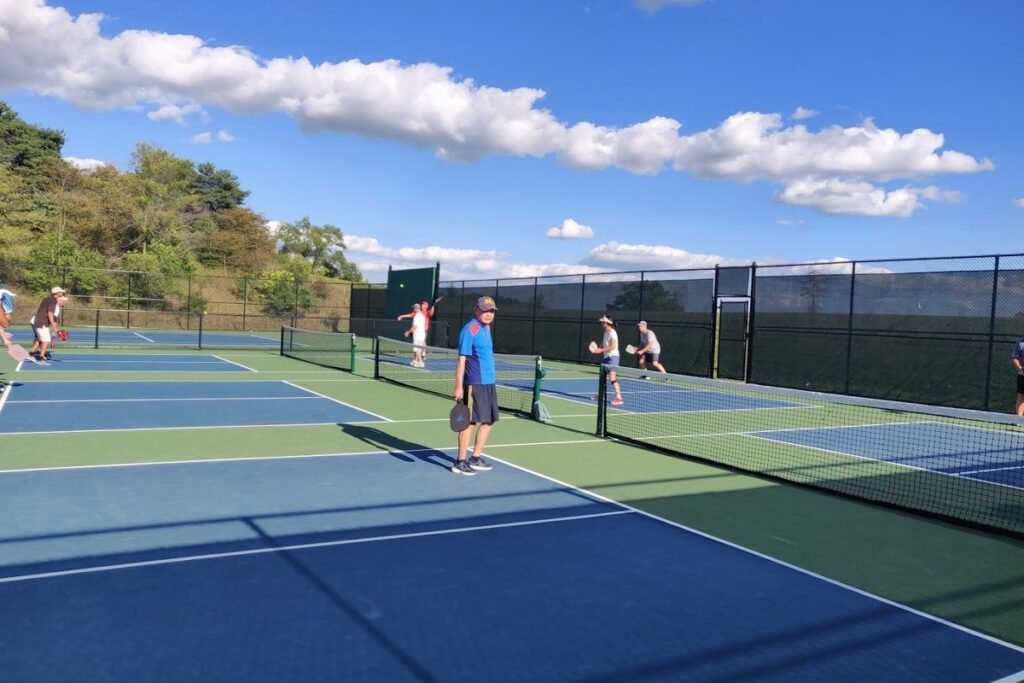 Leslie Park Ann Arbor Pickleball Courts near me, pickleball Ann Arbor, pickleball near me