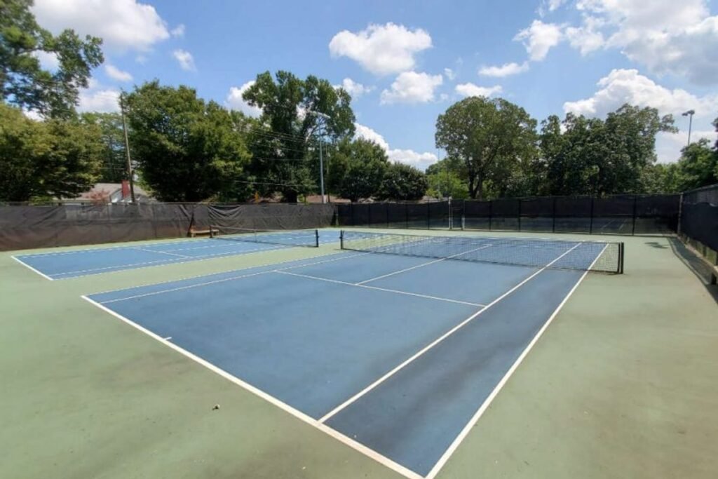 Lewis Park Marietta Pickleball Courts near me, pickleball Marietta, pickleball near me